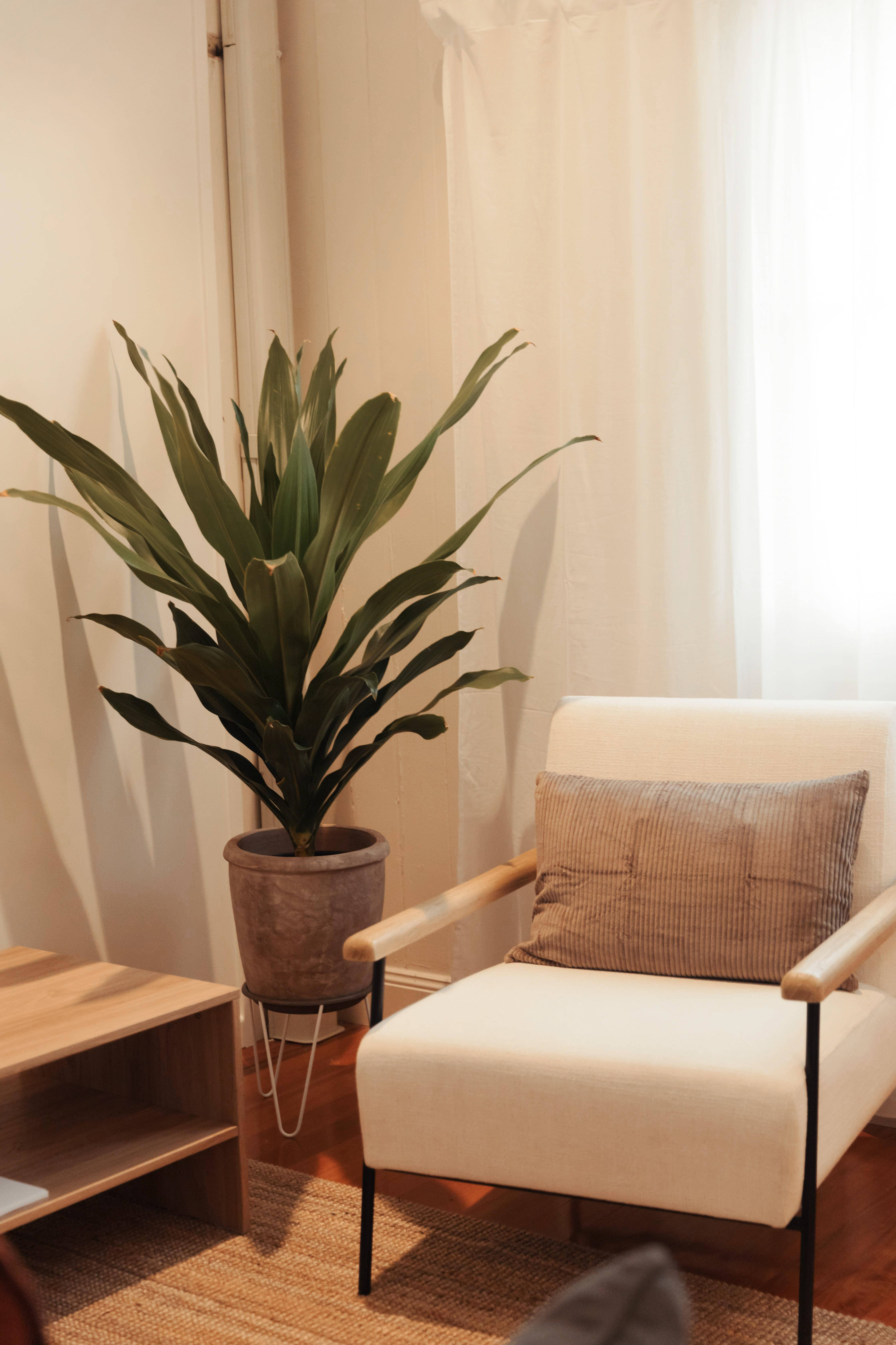 Room in Paddington