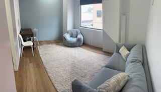 Room in Casula